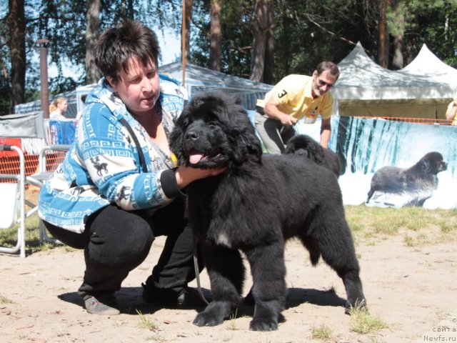 Фотография № 100821