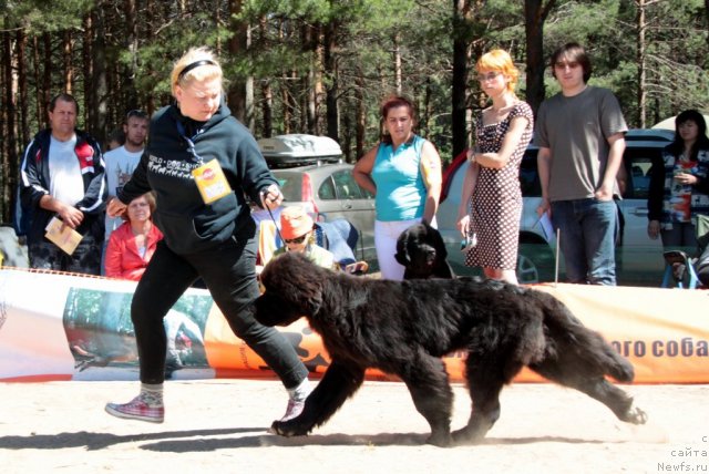 Фотография № 100841