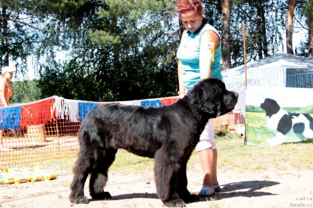 Фотография № 100844