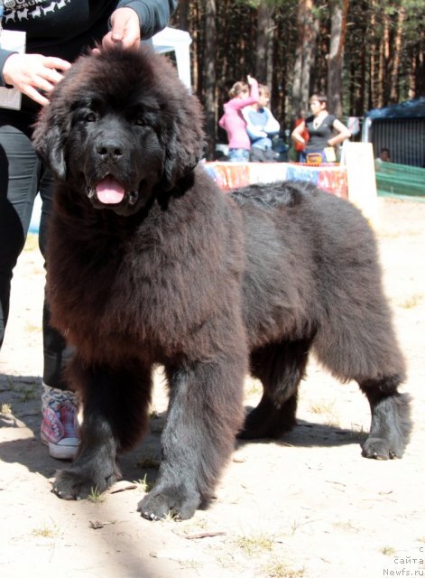 Фотография № 100850