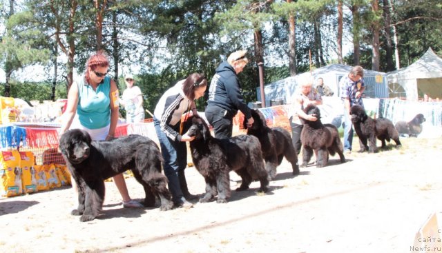 Фотография № 100860