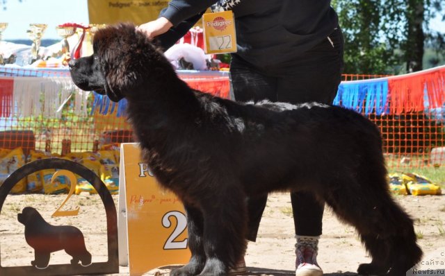 Фотография № 100863