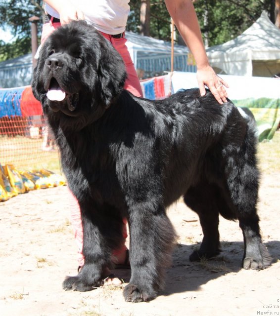 Фотография № 100866