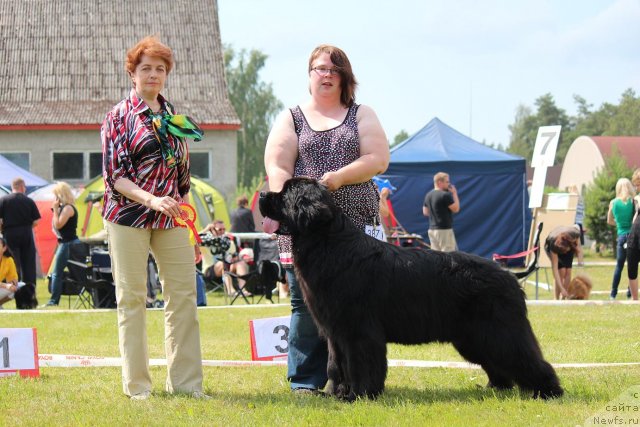 Фотография № 100883