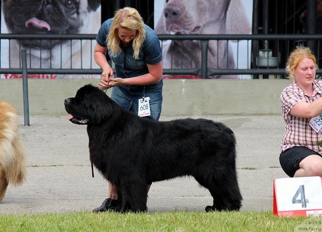 Фотография № 100884