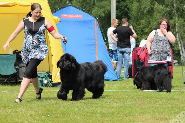 Фотография № 100890