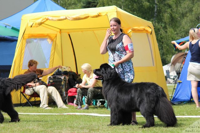 Фотография № 100891