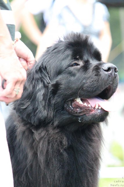 Фотография № 100900