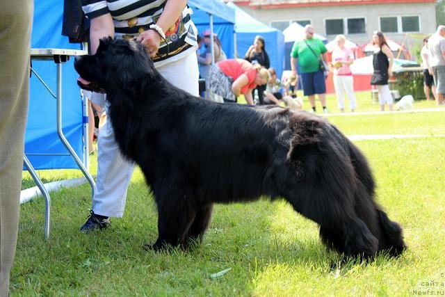 Фотография № 100903