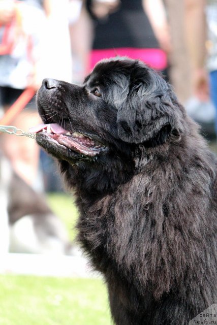 Фотография № 100904