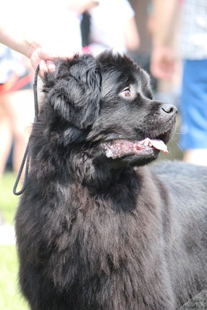 Фотография № 100906