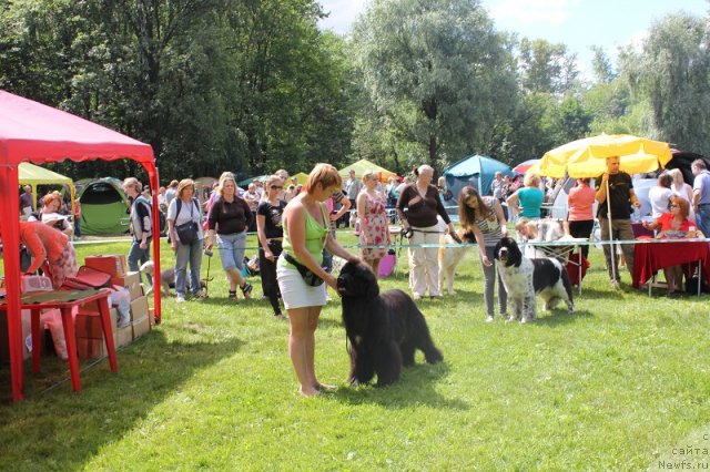 Фотография № 100911