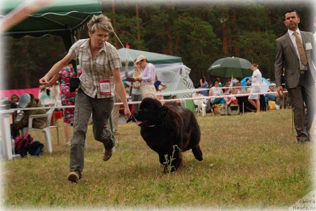 Фотография № 100919