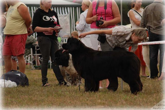 Фотография № 100922