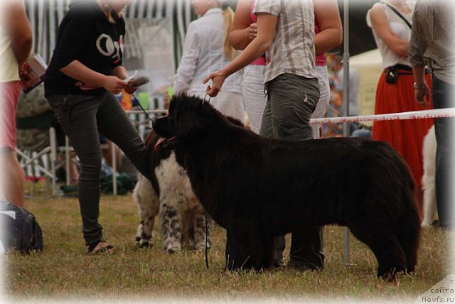 Фотография № 100923