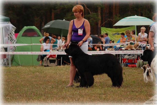 Фотография № 100928