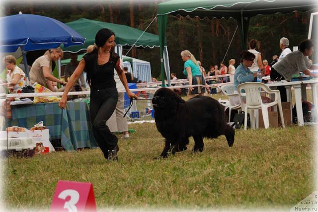 Фотография № 100929