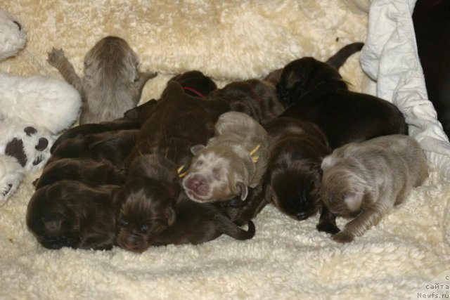 Фотография № 100957