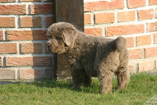 Фотография № 100958