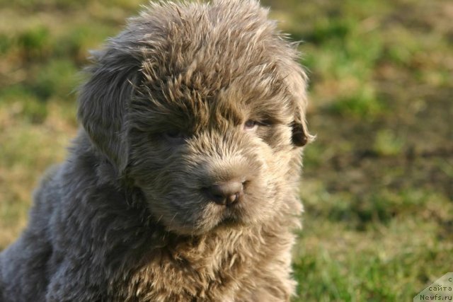 Фотография № 100959