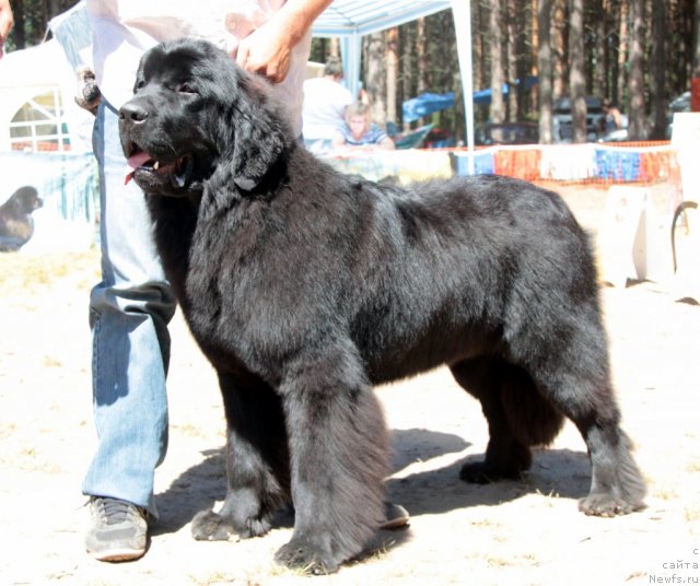 Фотография № 100967