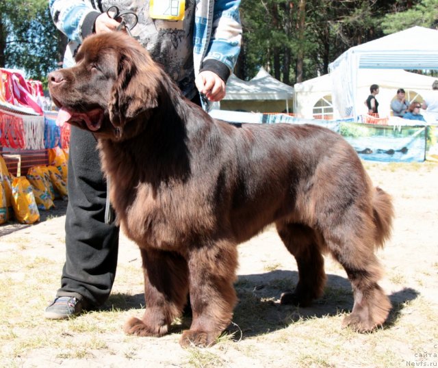 Фотография № 100971