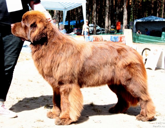 Фотография № 100982