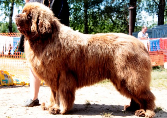 Фотография № 100988