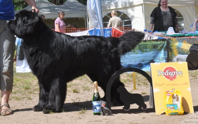 Фотография № 100993