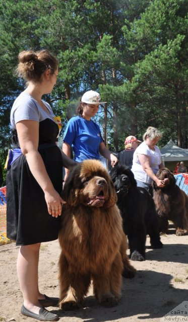 Фотография № 100999