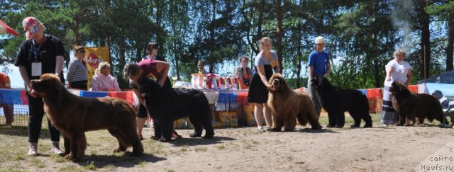 Фотография № 101002