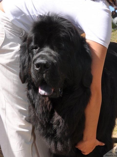 Фотография № 101005