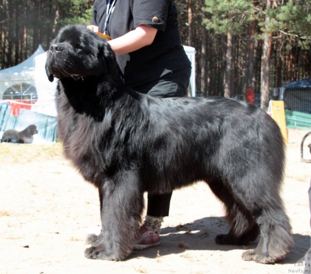 Фотография № 101021