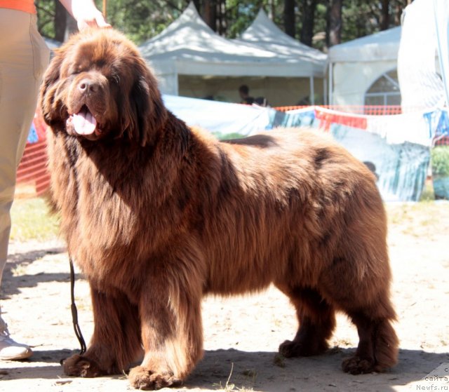 Фотография № 101022