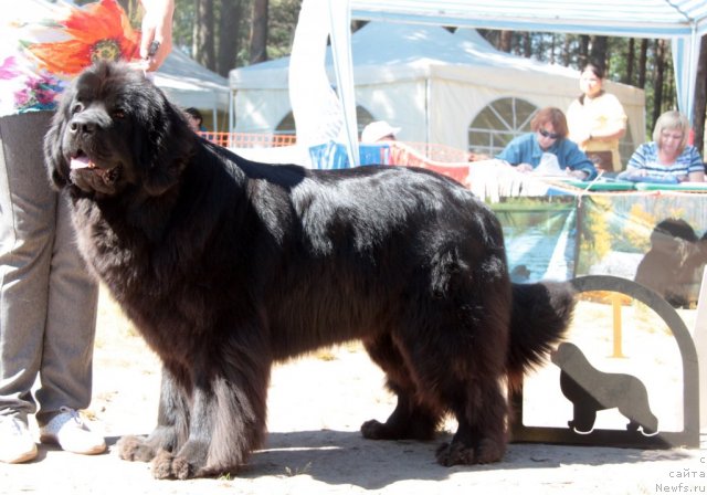 Фотография № 101026