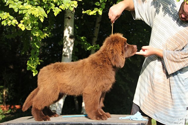 Фотография № 101032