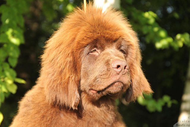 Фотография № 101033