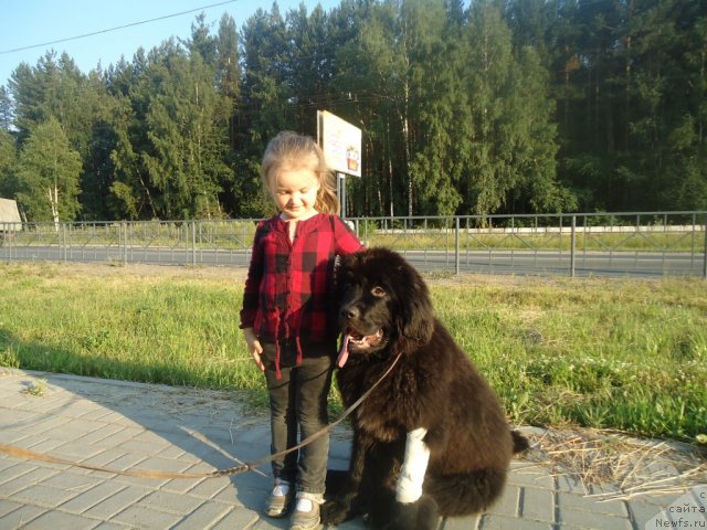 Фотография № 101034