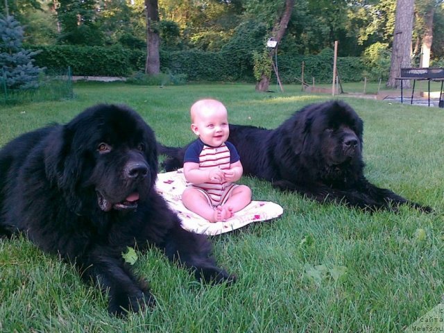 Фото: [d9153] Денис и [d10571]