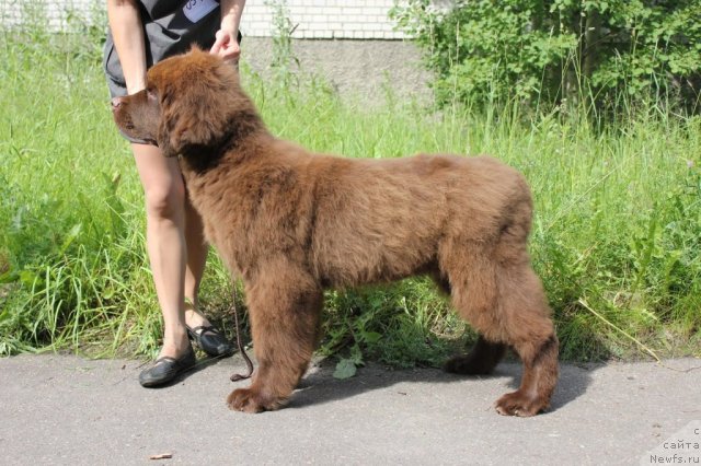 Фотография № 101152