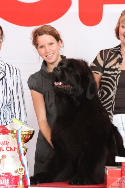 Фотография № 101159