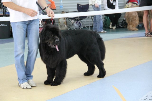 Фотография № 101170