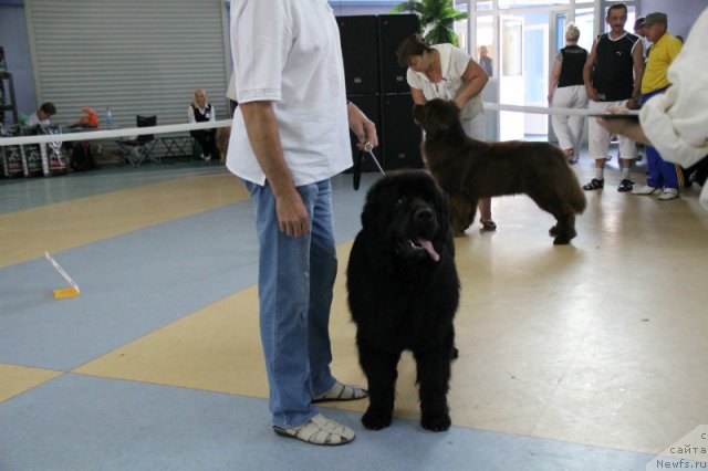 Фотография № 101171