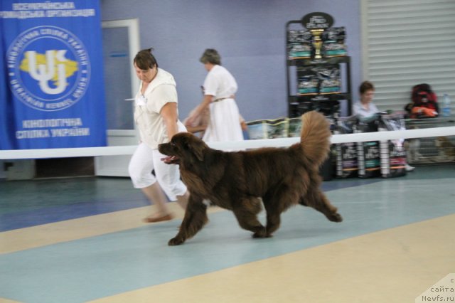 Фотография № 101176