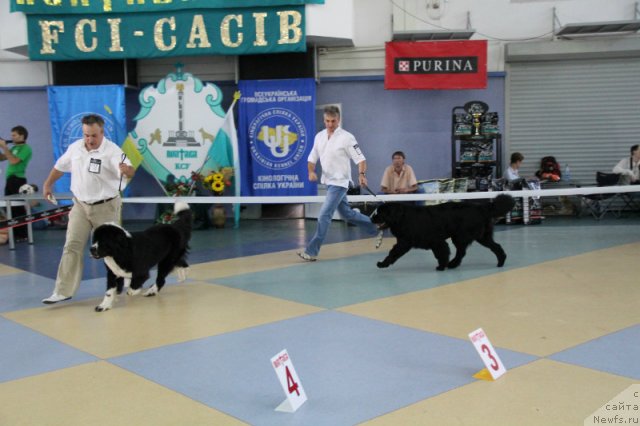 Фотография № 101180