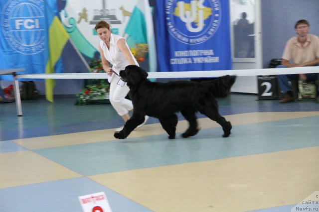 Фотография № 101184