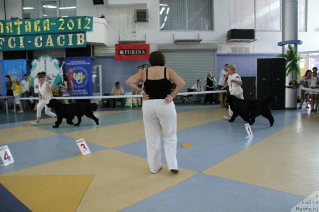 Фотография № 101189