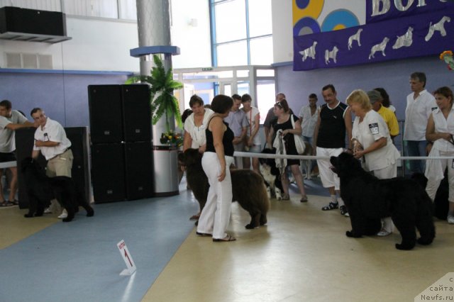 Фотография № 101191