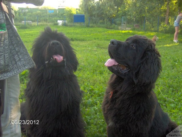 Фотография № 101201