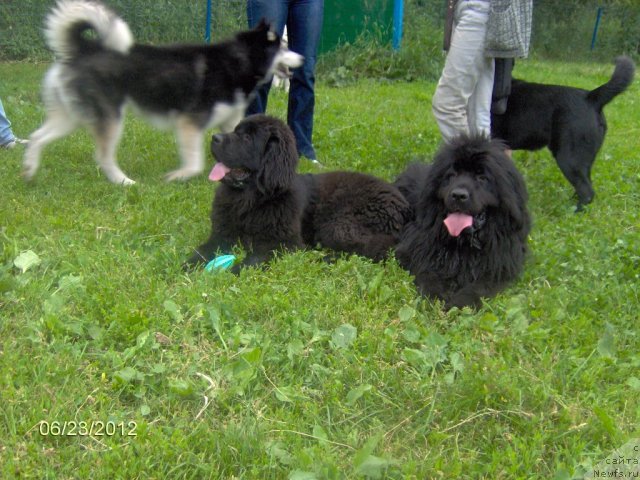 Фотография № 101202